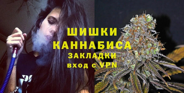 индика Новокубанск