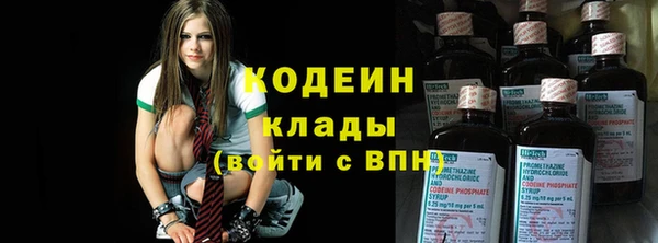 индика Новокубанск