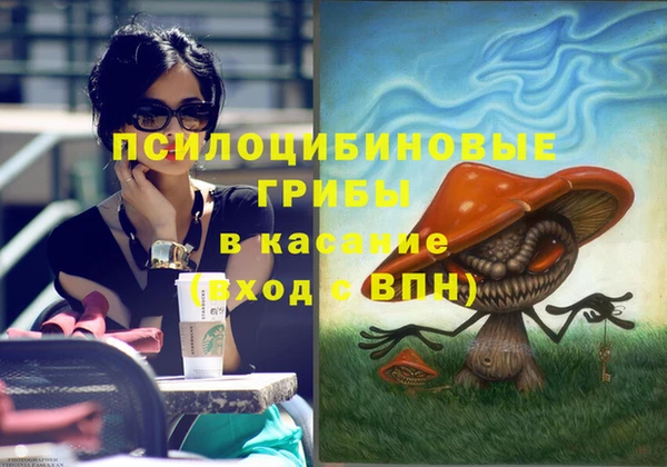 дживик Абинск