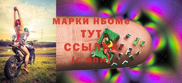 хмурый Новозыбков