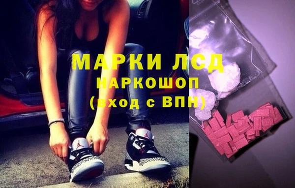 индика Новокубанск