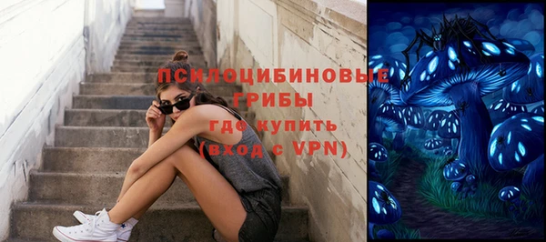 хмурый Новозыбков
