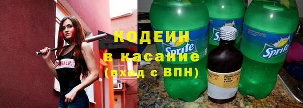хмурый Новозыбков