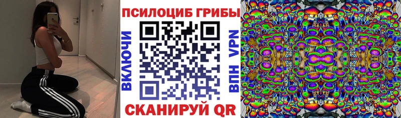 Галлюциногенные грибы Magic Shrooms Лесозаводск